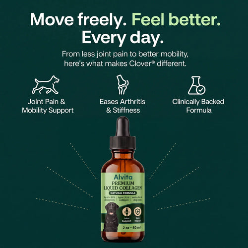 Premium Liquid Collagen