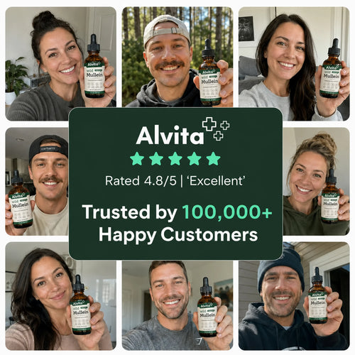 Alvita - Mullein Drops