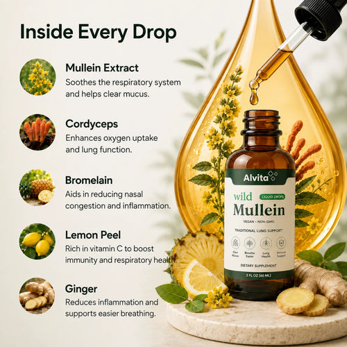 Alvita - Mullein Drops